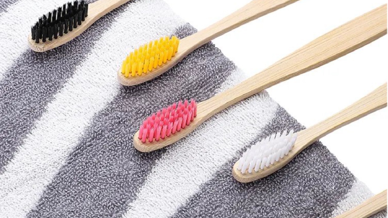 Is It Profitable to Start a Private Label Bamboo Toothbrush Business?
